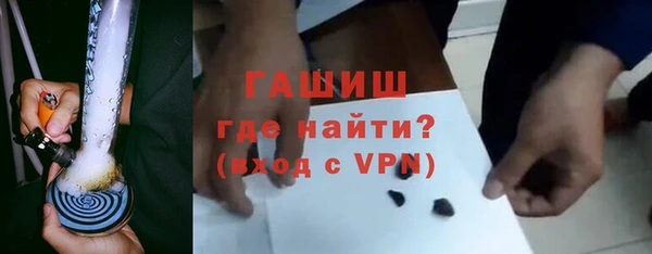 прущие грибы Надым