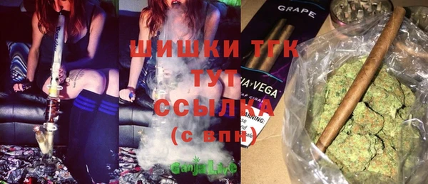 прущие грибы Надым