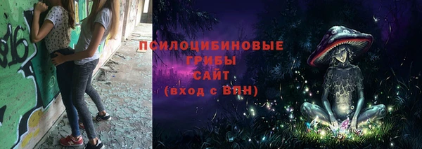 МДПВ Абдулино