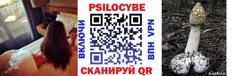 цены наркотик  Суоярви  ОМГ ОМГ tor  Псилоцибиновые грибы Psilocybe 